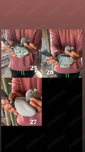 Schimb matca și zburători cu voiajori colorați 