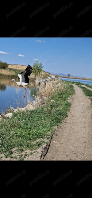 Casa renovata Boldești-Grădiștea jud Prahova locuibila imediat - imagine 10