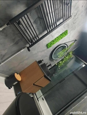 Cabana Breaza - imagine 6