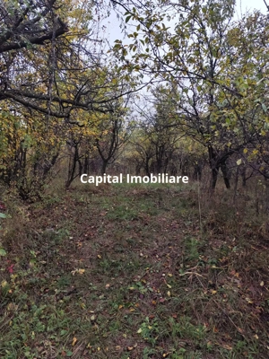 Vanzare sau Schimb! Central Drajna de Jos 5000 mp - imagine 9