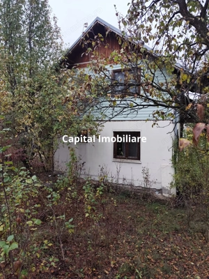 Vanzare sau Schimb! Central Drajna de Jos 5000 mp - imagine 5