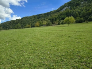 Vand teren intravilan Remeti 2500 m2