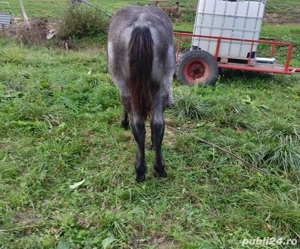 vand manz  - imagine 3 vand manz  - imagine 3