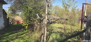 Casa + teren 4.021 mp în comuna Goiești  - imagine 2