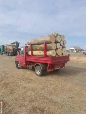 bustean de fag lemn de foc 