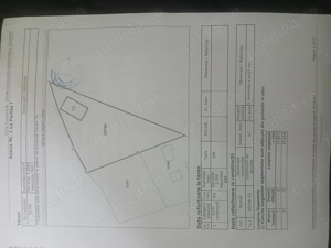 Casa de vânzare copaciu Giurgiu  - imagine 3