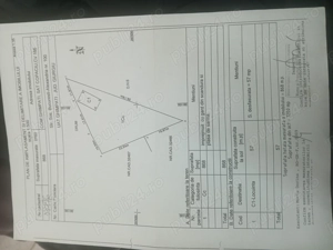 Casa de vânzare copaciu Giurgiu