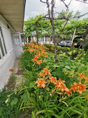 Casa de vanzare cu teren - imagine 7