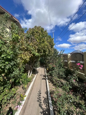 Casa de Vanzare Amara (Ialomita) - imagine 7