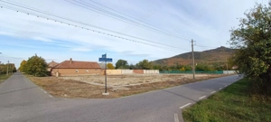   Casă de Poveste în Șiria, Arad- Locație Rară - imagine 8