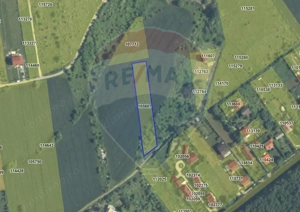 Teren 3000 mp în Snagov – zonă in dezvoltare, aproape de pădure - imagine 10