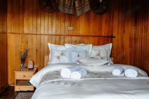 Vânzare pensiune renovată 2025 – 6 camere, Corbșori (Poenari) - imagine 16