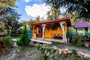 Vânzare pensiune renovată 2025 – 6 camere, Corbșori (Poenari) - imagine 3