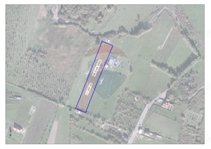 Teren intravilan 4589 mp de vânzare în Cordău, Băile Felix-1 Mai