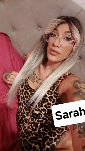 Pentru o zi in  orasul tau - imagine 2