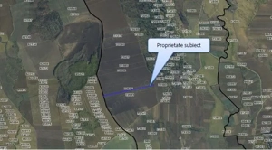 Teren Extravilan Pribesti, ID: R2774827 - imagine 6