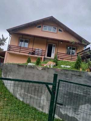 Casa caut proprietari noi!