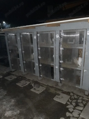 Cuști pentru iepuri