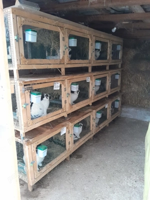 Cuști pentru iepuri - imagine 3