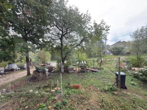 Casă 120 mp, teren 31 arii – Medișa, comuna Viile Satu Mare - imagine 5