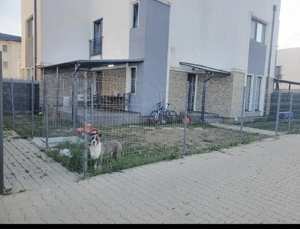 Braytim | Casa tip Duplex | 3 Camere | 2 Bai | Mobilat si Utilat | Pet friendly - imagine 8