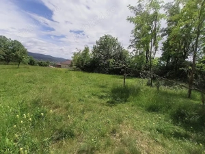 Teren intravilan 7759 mp in Curtea de Arges zona Noaptes - imagine 8