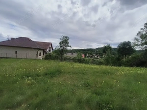 Teren intravilan 7759 mp in Curtea de Arges zona Noaptes - imagine 3