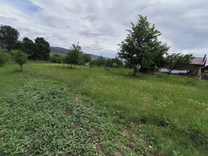 Teren intravilan 7759 mp in Curtea de Arges zona Noaptes - imagine 2