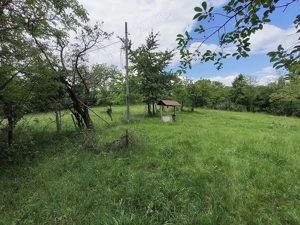 Teren intravilan 7759 mp in Curtea de Arges zona Noaptes - imagine 6