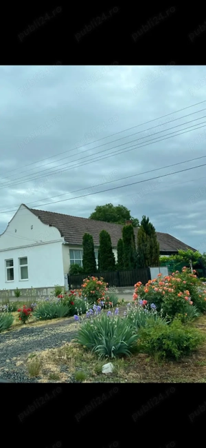 Casă de vânzare   Lenauheim, centru