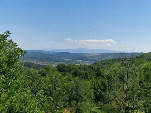 Teren 6926 mp de vanzare in Valea Danului jud Arges