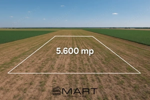 Teren extravilan 5600mp Daia Romana - Alba