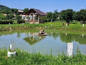 Teren intravilan 3843 mp de vanzare in Curtea de Arges - imagine 5