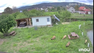 Teren intravilan 3843 mp de vanzare in Curtea de Arges - imagine 4