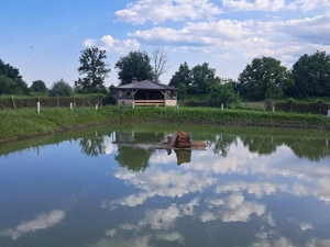 Teren intravilan 3843 mp de vanzare in Curtea de Arges - imagine 10