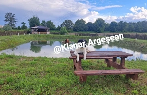 Teren intravilan 3843 mp de vanzare in Curtea de Arges - imagine 9