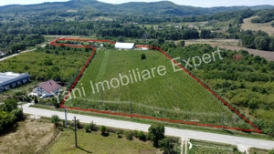 Proprietate de excepție de vânzare în Bârseștii de Jos, Comuna Cepari, Judet Argeș. - imagine 14