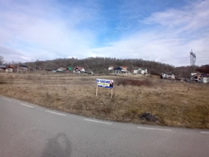 Parcela de teren in Zigoneni Baiculesti - imagine 3