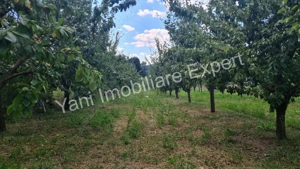 Proprietate de excepție de vânzare în Bârseștii de Jos, Comuna Cepari, Judet Argeș. - imagine 16