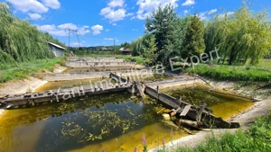 Proprietate de excepție de vânzare în Bârseștii de Jos, Comuna Cepari, Judet Argeș. - imagine 17