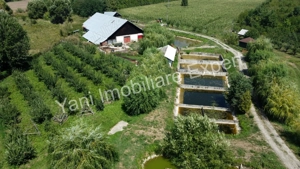 Proprietate de excepție de vânzare în Bârseștii de Jos, Comuna Cepari, Judet Argeș. - imagine 20