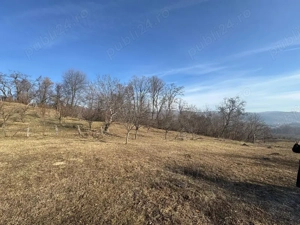 De vânzare 4771 mp teren in Albestii de Arges - imagine 4