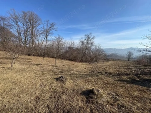 De vânzare 4771 mp teren in Albestii de Arges - imagine 7