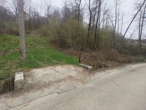 Teren 3100 mp si padure in Curtea de Arges zona Cuza Voda - imagine 2 Teren 3100 mp si padure in Curtea de Arges zona Cuza Voda - imagine 2