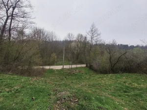 Teren 3100 mp si padure in Curtea de Arges zona Cuza Voda - imagine 6 Teren 3100 mp si padure in Curtea de Arges zona Cuza Voda - imagine 6