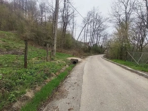 Teren 3100 mp si padure in Curtea de Arges zona Cuza Voda - imagine 3 Teren 3100 mp si padure in Curtea de Arges zona Cuza Voda - imagine 3