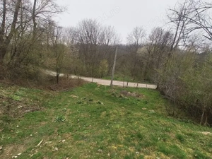 Teren 3100 mp si padure in Curtea de Arges zona Cuza Voda - imagine 5 Teren 3100 mp si padure in Curtea de Arges zona Cuza Voda - imagine 5