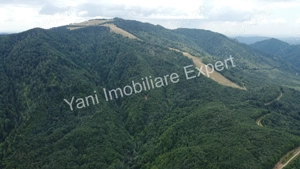 Teren de vânzare în apropiere de Transfăgărășan și Valea Vâlsanului. - imagine 3