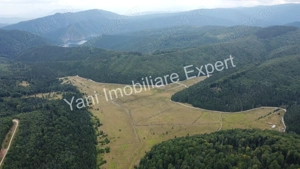 Teren de vânzare în apropiere de Transfăgărășan și Valea Vâlsanului. - imagine 4