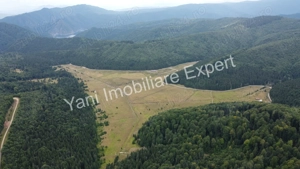 Teren de vânzare în apropiere de Transfăgărășan și Valea Vâlsanului. - imagine 5